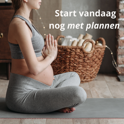 Zwangerschapsplanner Bundel