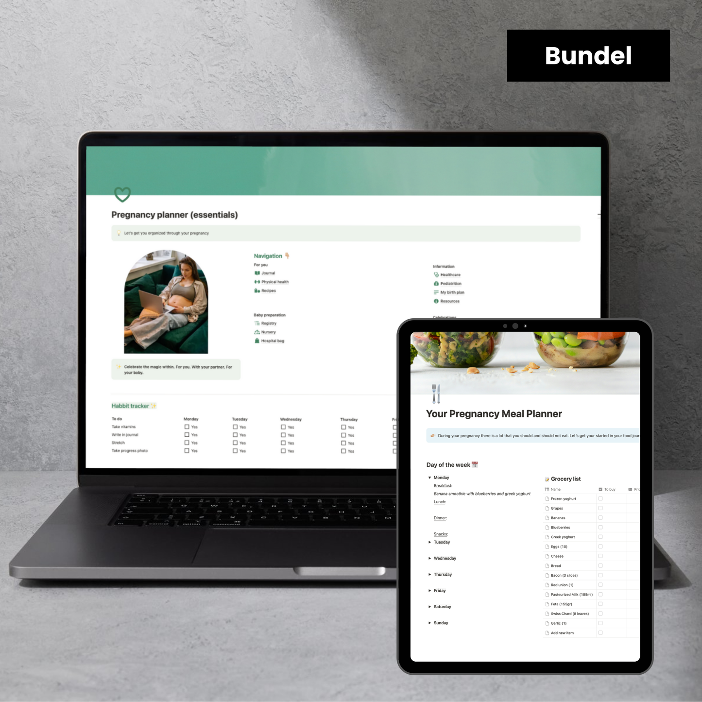 Zwangerschapsplanner Bundel