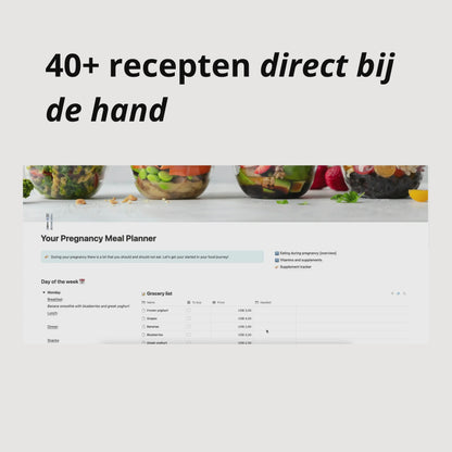 Zwangerschapsplanner Bundel