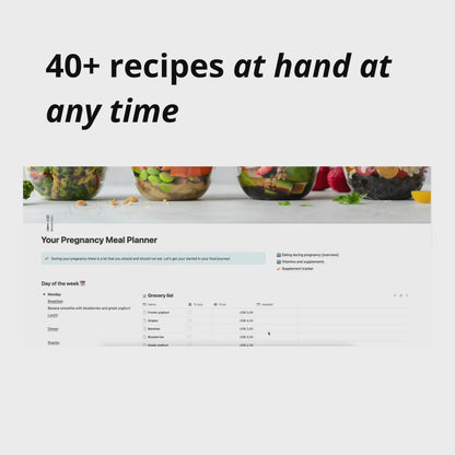 Zwangerschapsplanner Bundel